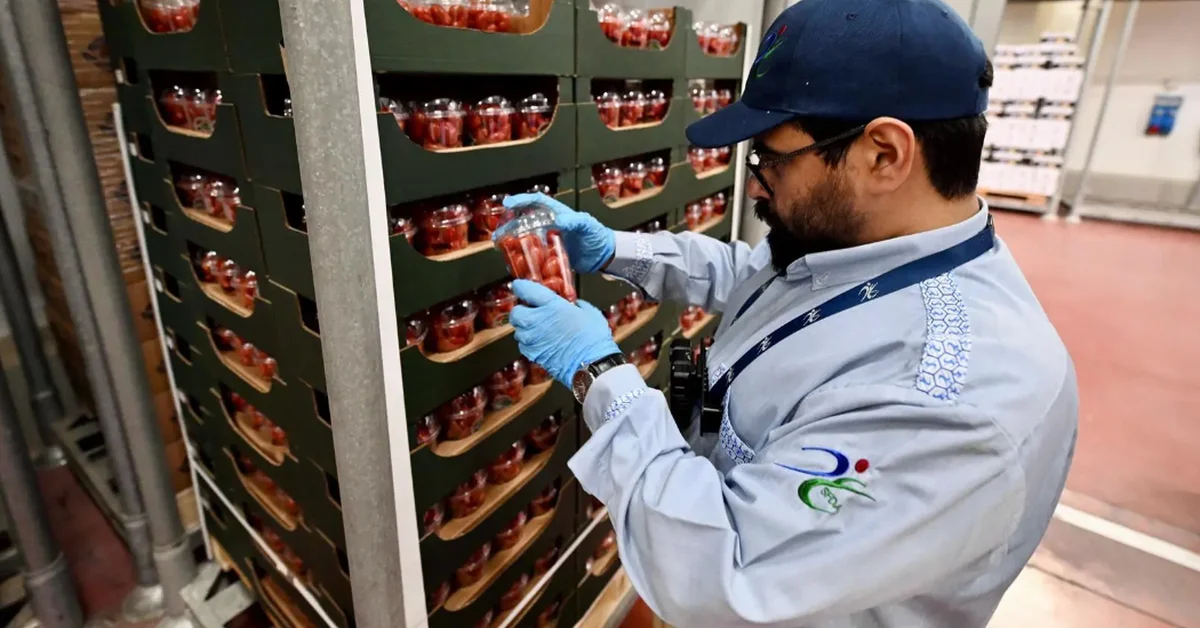 Food and Drug Authority Enhances Warehouse Inspections Ahead of Hajj Season - Main Image