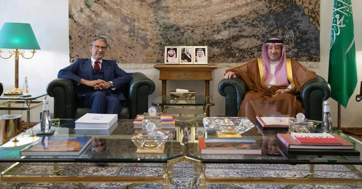 The Vice Foreign Minister received the Italian ambassador for discussions. - Main Image