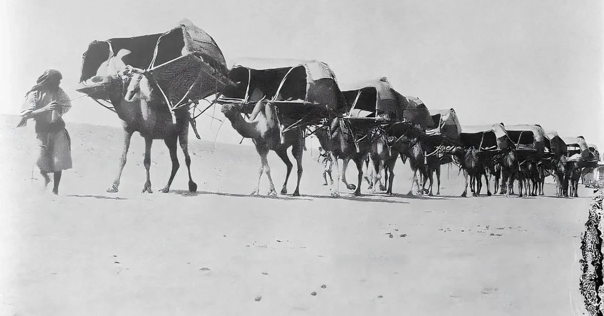 Saudi Arabia revolutionizes pilgrimage by transforming difficult routes into smooth journeys. - Main Image
