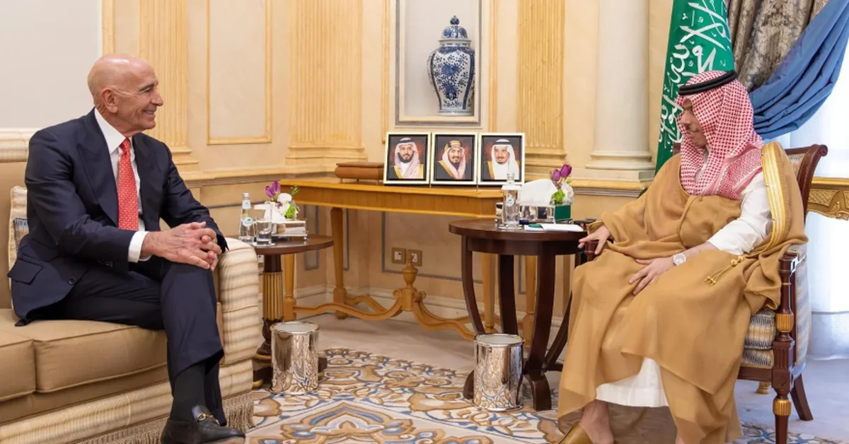 Foreign Minister Meets with U.S. Special Envoy for Syria - Main Image