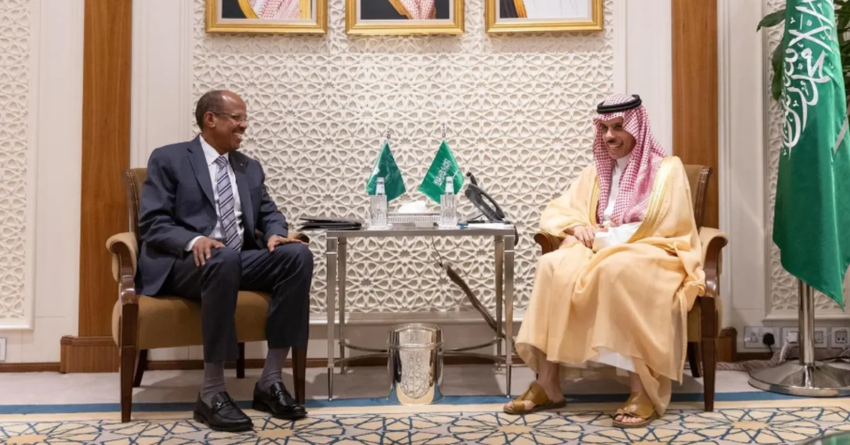 Foreign Minister Receives Chairperson of the African Union Commission - Main Image