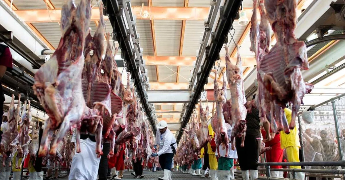 Adahi Concludes Hajj Season with Distribution of over 360,000 Kg of Meat - Main Image