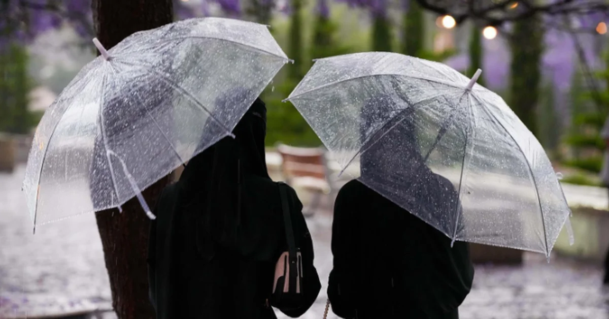 Abha's Streets Awash in Purple as Jacaranda Flowers Bloom after Heavy Rain - Main Image