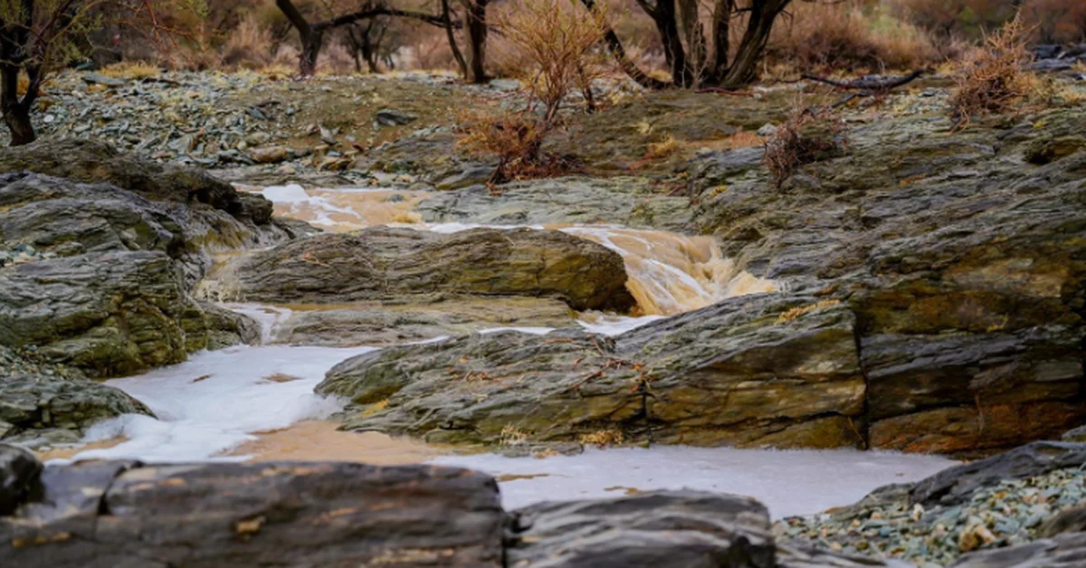 Visitors Flock to Al-Baha to Witness Stunning Scenery after Rainfall - Main Image