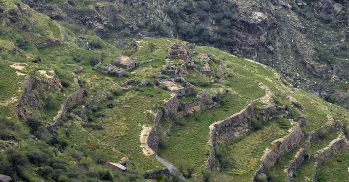 Aseer's Agricultural Terraces: Lasting Legacy of Land, Water Conservation - Main Image