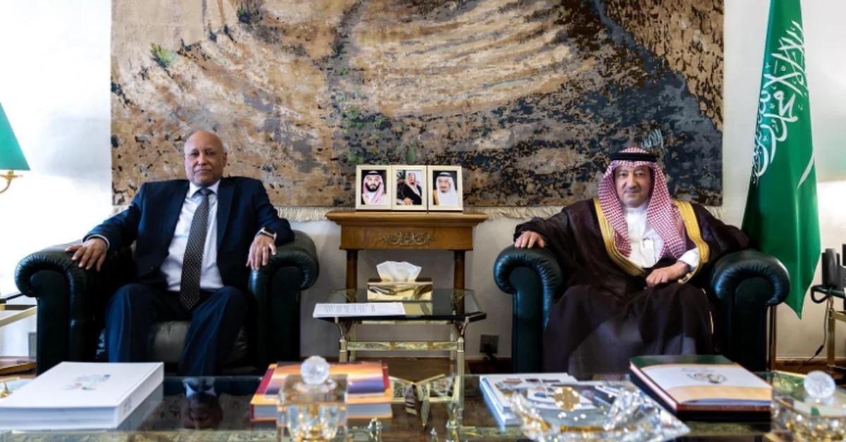 Vice Foreign Minister Receives Somali Ambassador - Main Image