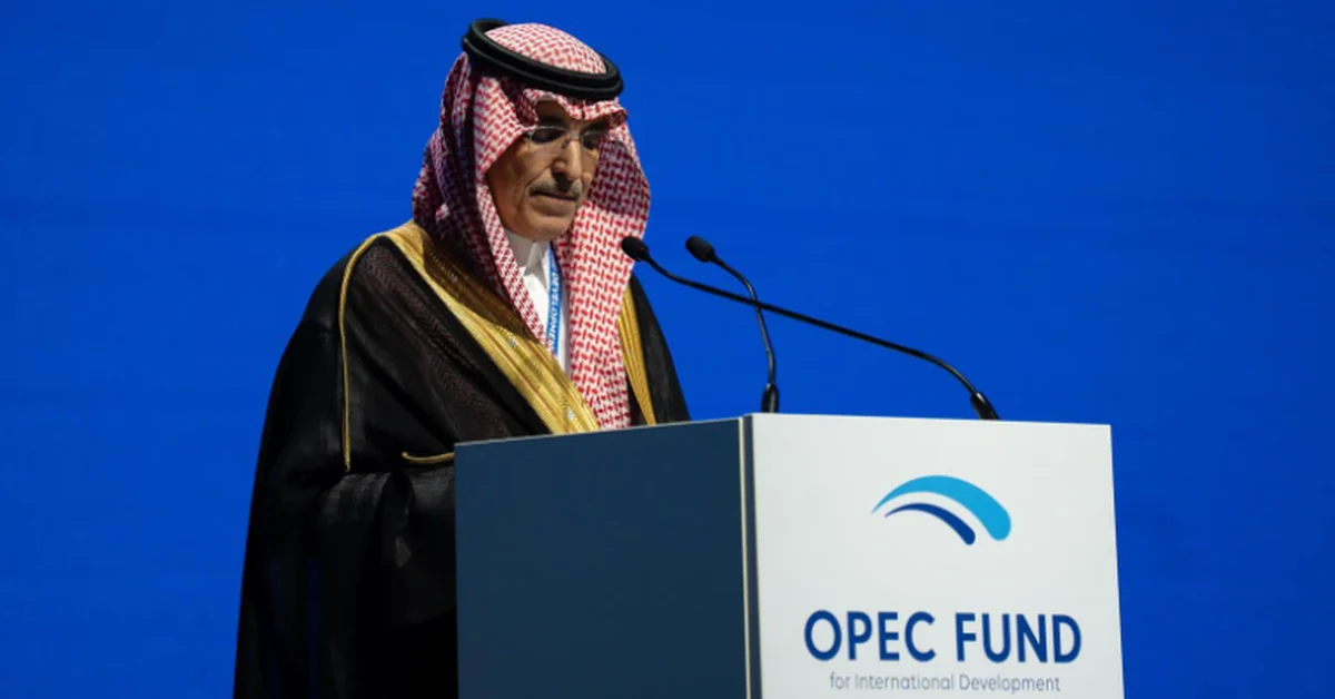 Minister of Finance Stresses Importance of Diversifying Energy Sources at OPEC Fund Forum - Main Image