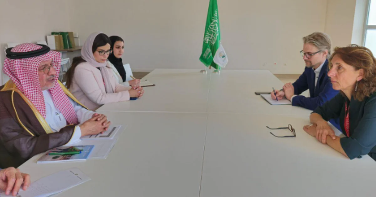 KSrelief Chief Meets German Envoy for Middle East Humanitarian Aid - Main Image