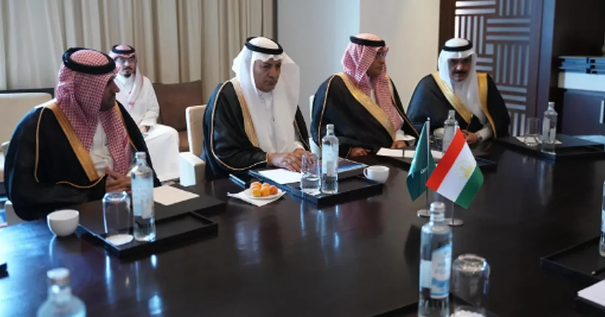 Saudi Delegation, Tajik Officials Discuss Key Investment Sectors - Main Image