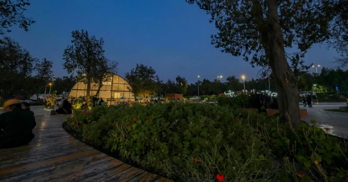 Raghadan Forest: Captivating Summer Destination on the Peaks of Sarawat Mountains - Main Image