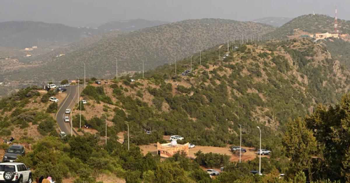 Tourists Flock to Aseer for Cool Weather and Scenic Highlands - Main Image