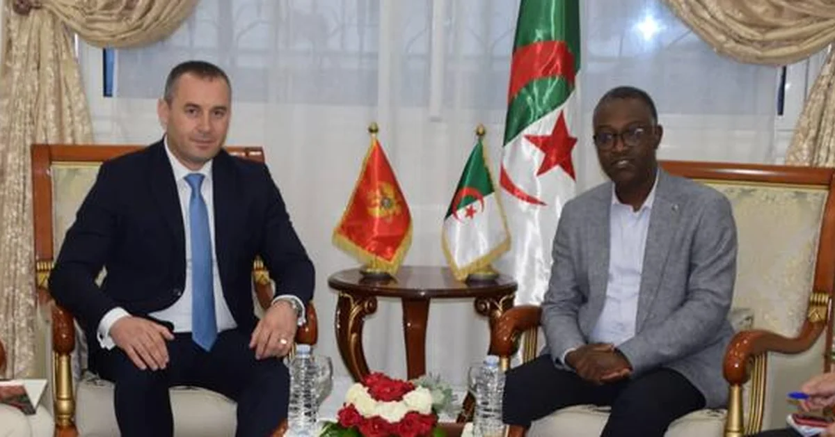 Saudi, Algerian Federations for Deaf Sports Sign Cooperation Agreement - Main Image