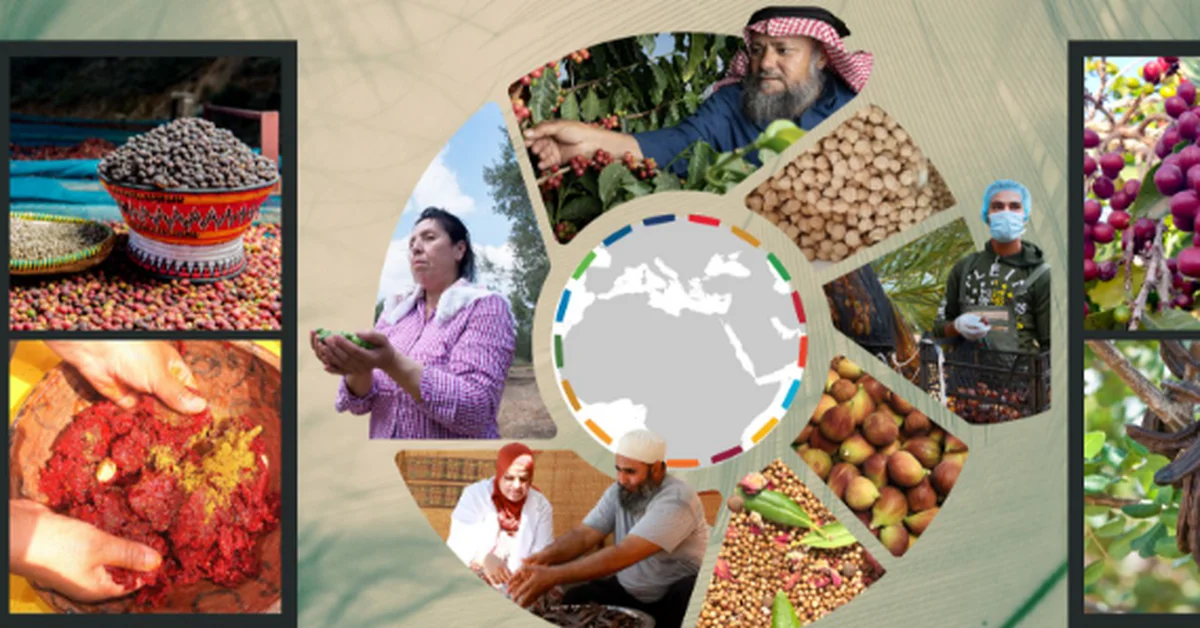 FAO Experts Review Development of Taif Fruit and Rose Sector for Tourism - Main Image