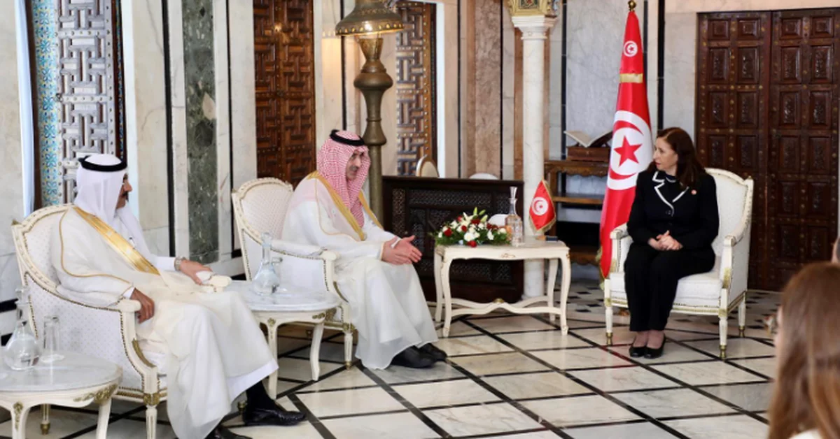 Tunisian Prime Minister, Economy and Health Ministers Receive SFD Chief - Main Image