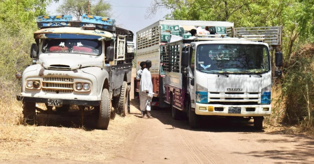KSrelief Distributes 1,050 Food Baskets Across Sudan - Main Image
