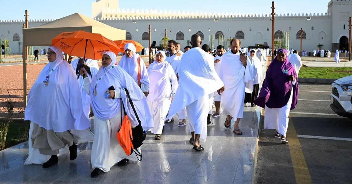 Pilgrims Travel from Madinah to Makkah Under Coordinated Supervision - Main Image