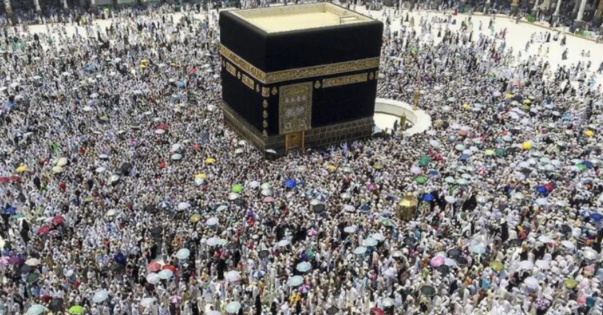 Ministry of Justice deploys legal teams and mobile notaries to assist pilgrims - Main Image