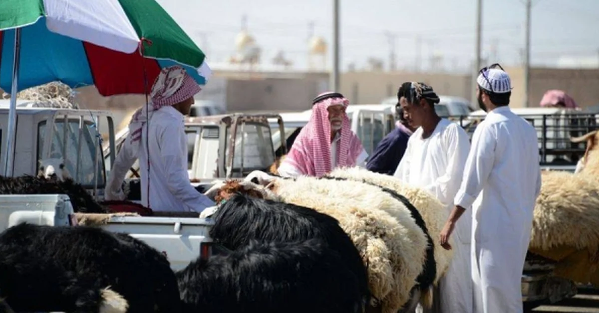 Ehsan and Adahi team up to improve animal sacrifice services - Main Image