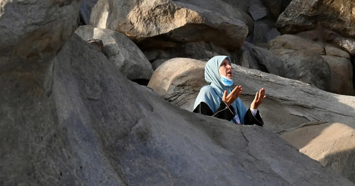 Hajj Ministry Successfully Manages Pilgrim Transfers to Arafat - Main Image