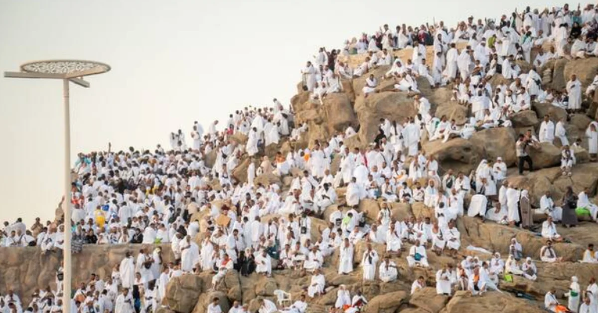 Ongoing Services and Support Provided to Pilgrims in Arafat - Main Image