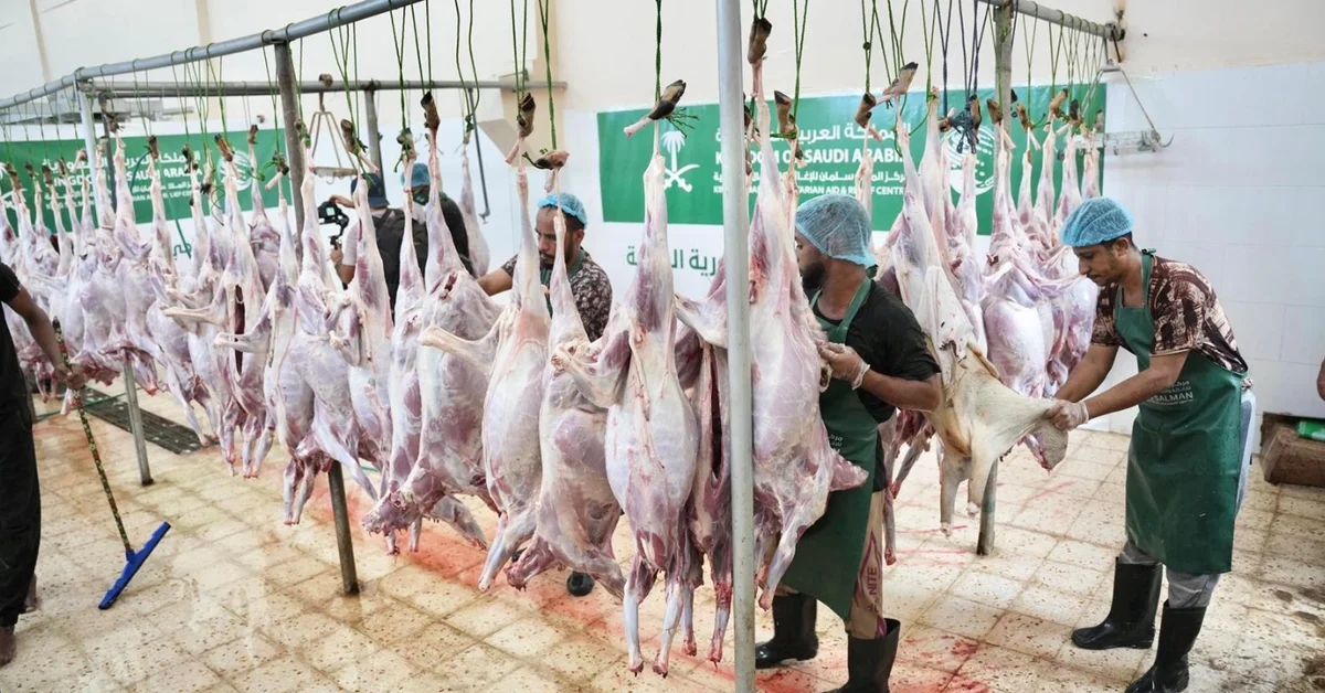 KSrelief begins Eid meat distribution in Aden for 1446H - Main Image
