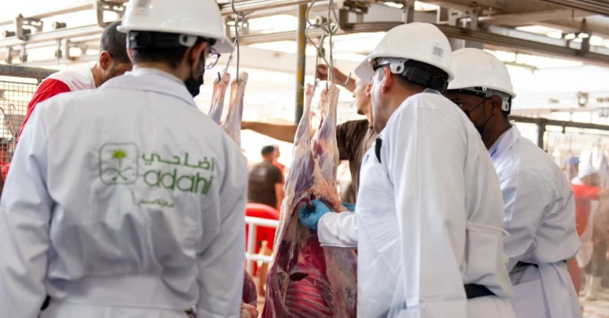 Adahi Project Completes Over 287,000 Sacrifices to Support Pilgrim Rites - Main Image