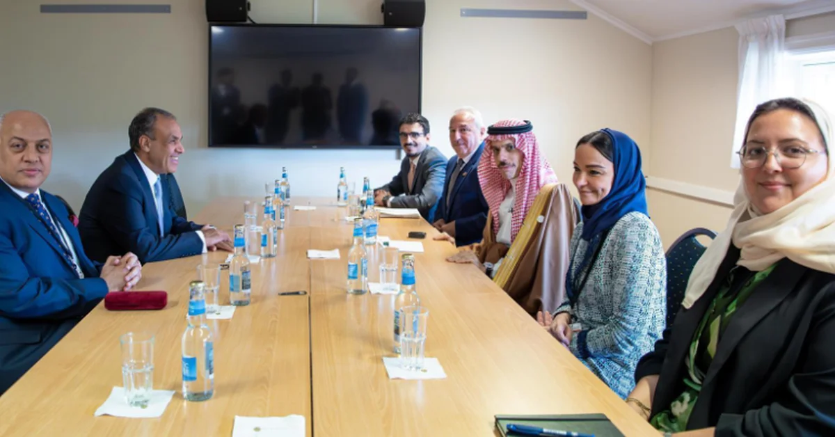 Foreign Minister, Egyptian Counterpart Discuss Developments in Gaza and West Bank - Main Image