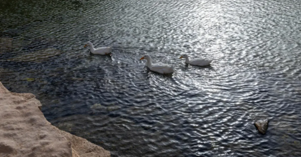'Shuaib Ghadhwana' Is New Open-Air Tourist Destination Welcoming Summer Visitors - Main Image