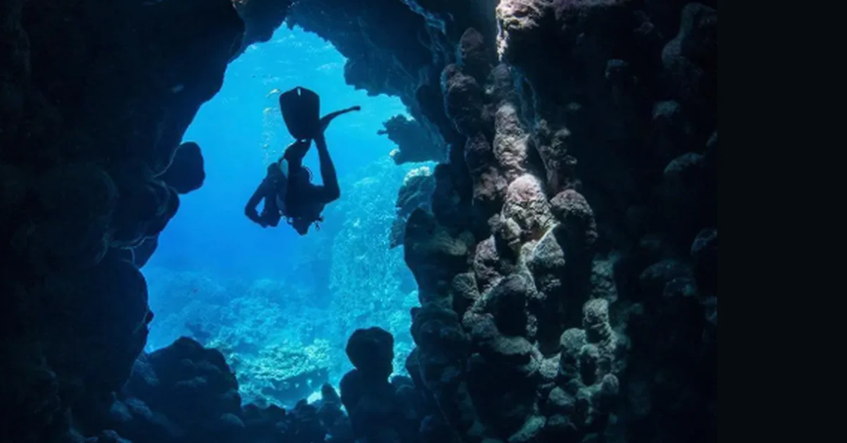 Jeddah's Abu Al Madafa Caves: A Premier Destination for Diving Enthusiasts - Main Image