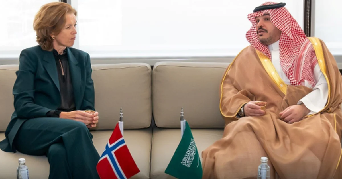 Literature, Publishing, and Translation Commission CEO Meets Norwegian Ambassador - Main Image