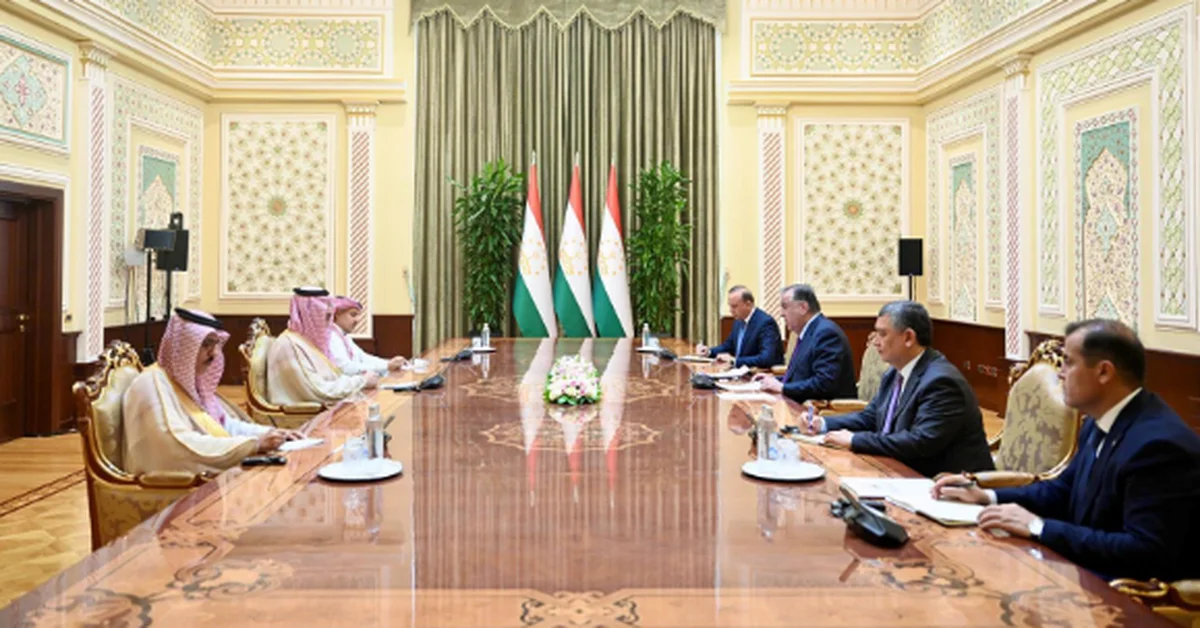 Tajik President Receives Saudi Fund for Development CEO - Main Image