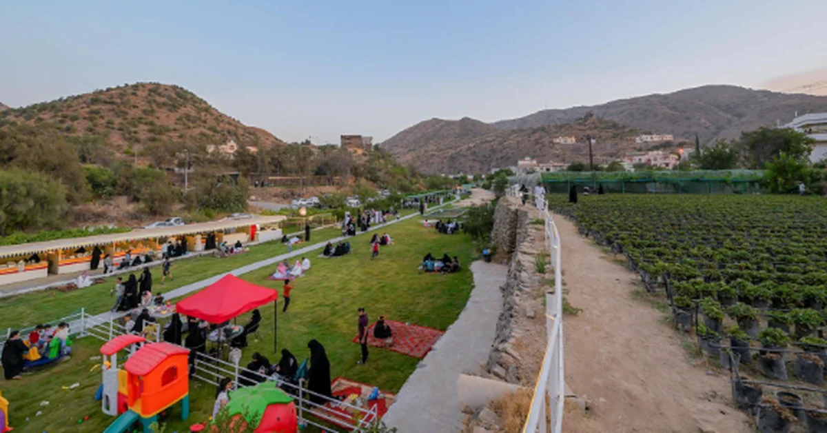 Al-Baha's Rural Farms Flourish as Agritourism Hub, Boost Local Economy - Main Image