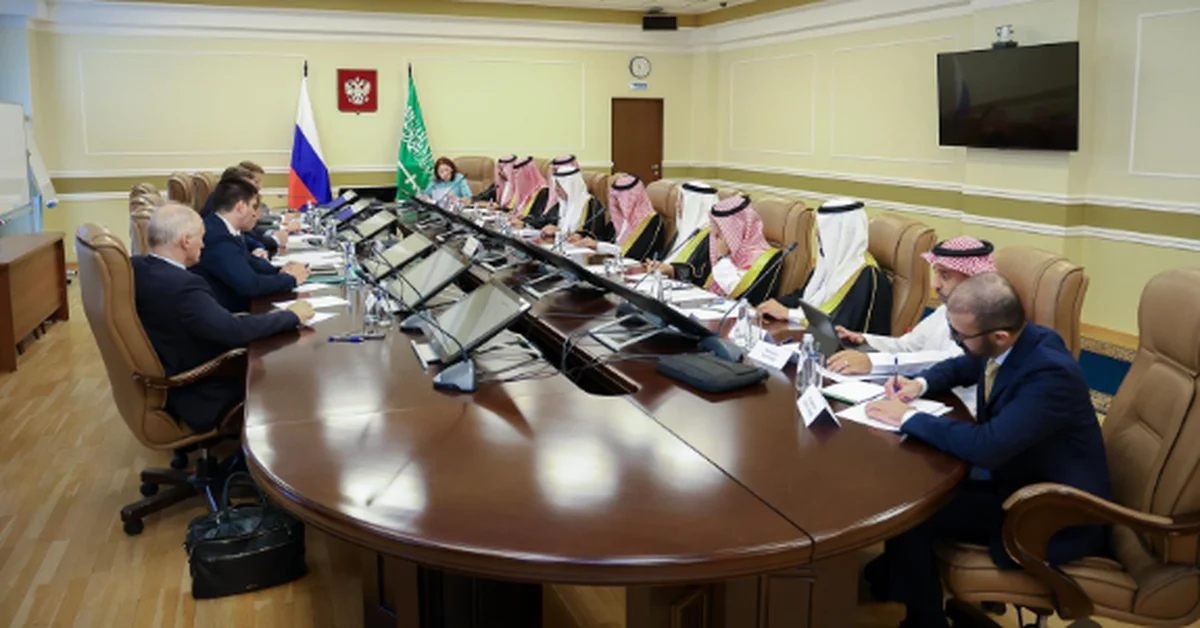 Industry Minister Discusses Mining Cooperation with Russian Counterpart - Main Image