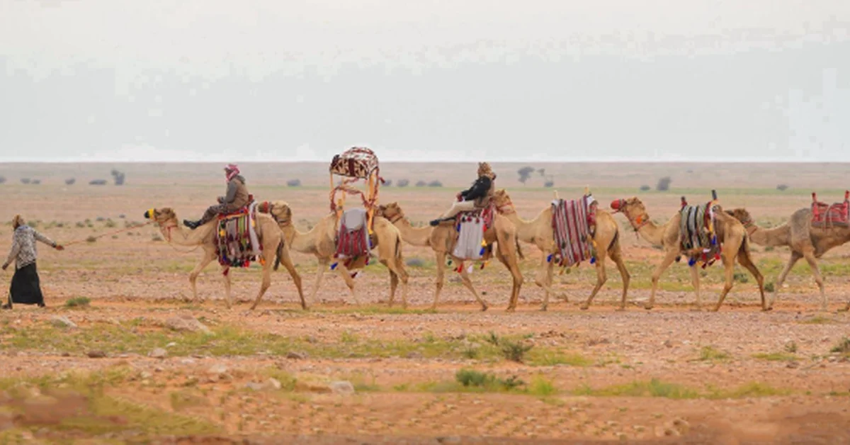 Al-Shaddad a Traditional Invention Reflecting Human Ingenuity in Conquering the Desert - Main Image