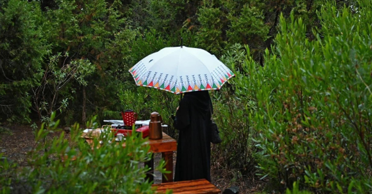 Gemini Rains Delight Aseer Visitors as Fog Drapes the Highlands - Main Image