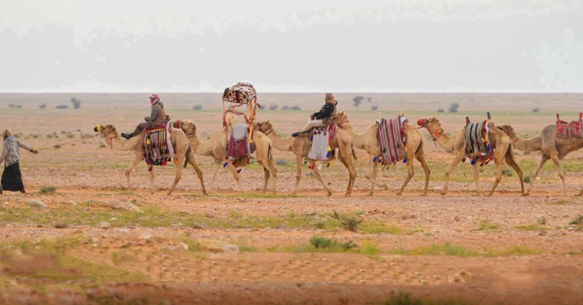 'Al-Shaddad' a Traditional Invention Reflecting Human Ingenuity in Conquering the Desert - Main Image