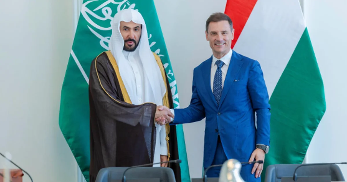 Minister of Justice Meets with Hungarian Counterpart - Main Image