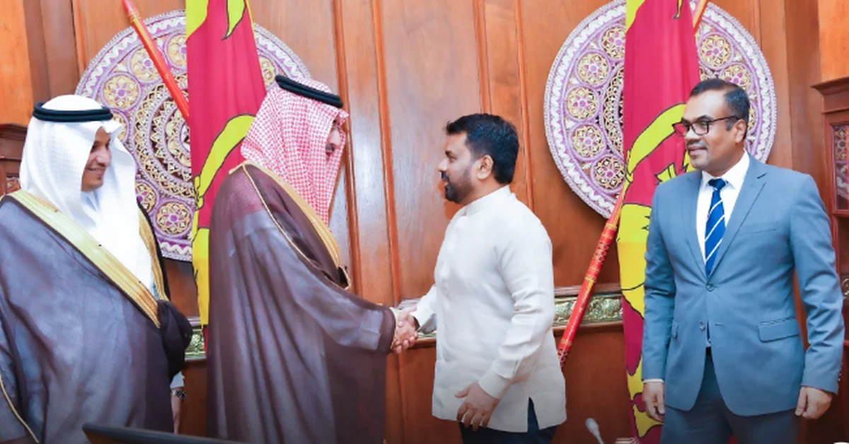 SFD CEO Meets with Sri Lankan President to Boost Development Ties - Main Image