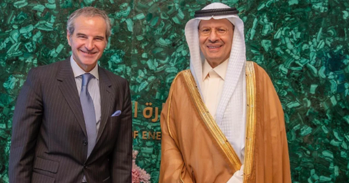 Minister of Energy Meets IAEA Director General - Main Image