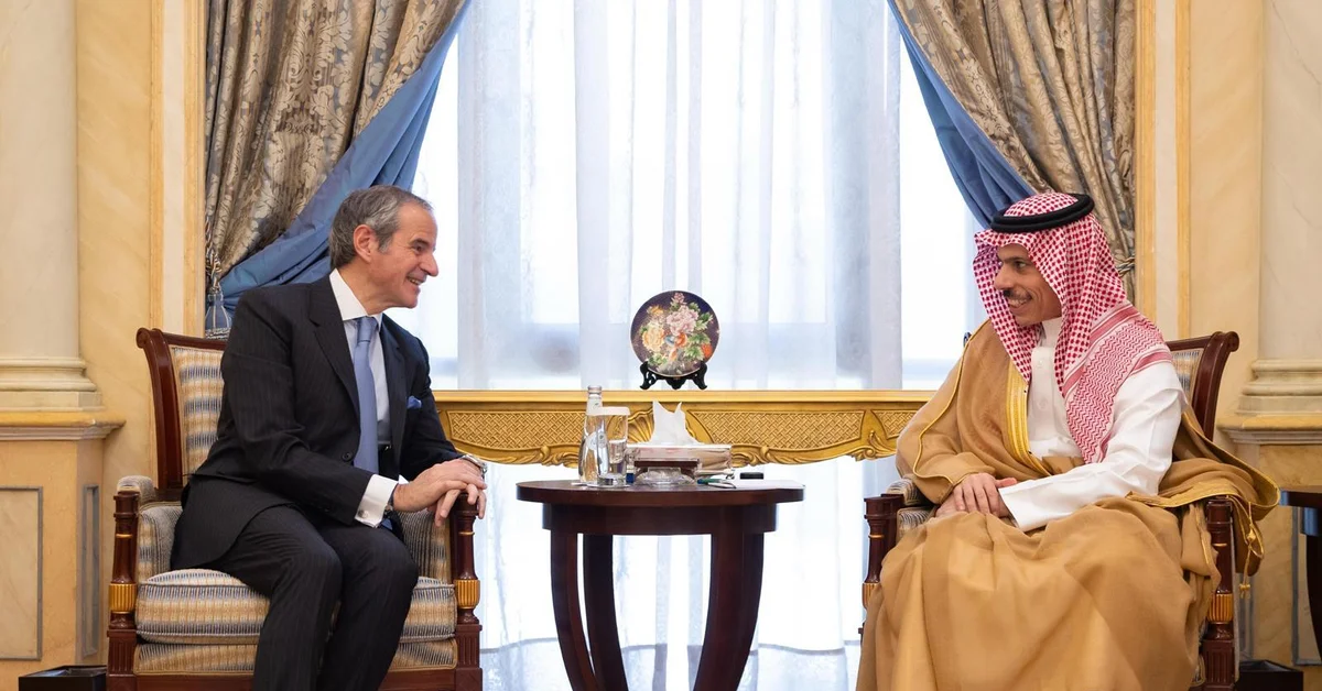 Foreign Minister Meets with IAEA Chief - Main Image