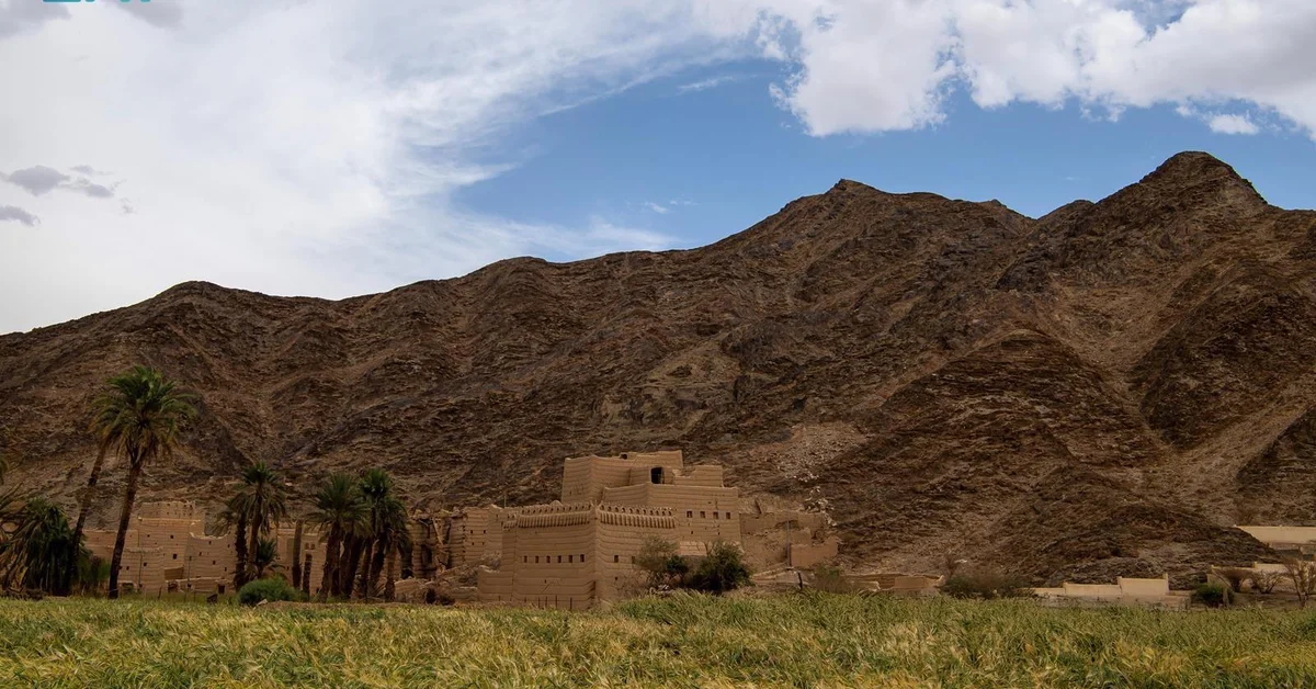 Najran's Parks: Premier Destinations Defined by Unique Natural Beauty - Main Image