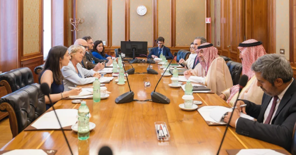 Vice Foreign Minister Meets Chair of Italian Senate's Foreign Affairs and Defense Committee - Main Image