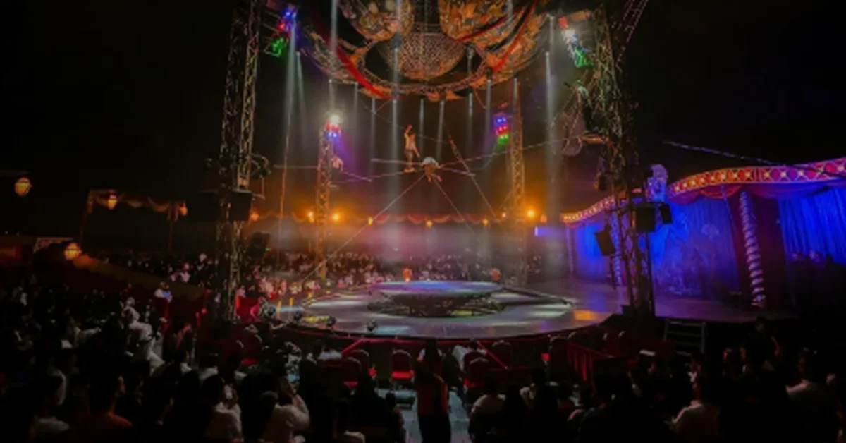 City Hub Al-Baha Draws Thousands with Diverse Entertainment - Main Image