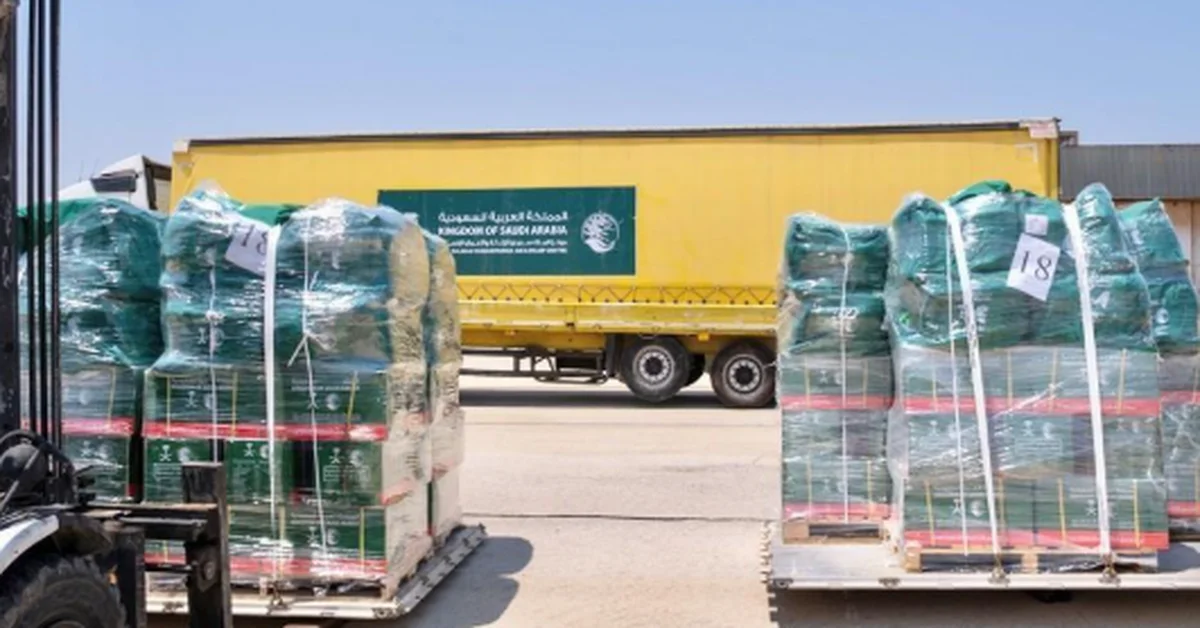 Second Saudi Relief Plane Arrives in Syria to Aid People Affected by Latakia Fires - Main Image