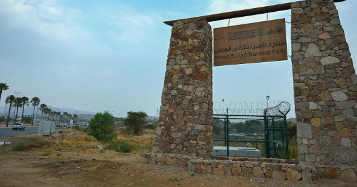 Prince Sultan National Park in Abha Blends Nature and Entertainment - Main Image