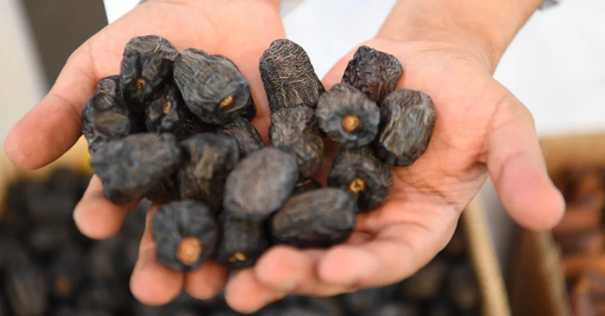 Madinah Date Market Offers Promising Opportunities for Young Entrepreneurs - Main Image