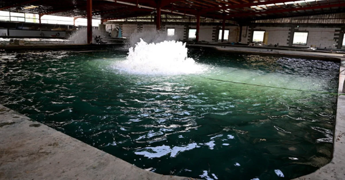 Eastern Region Fish Farms Boost Food Security and Exports - Main Image