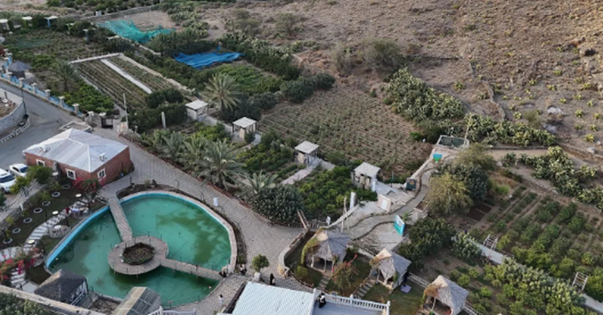 Taif's Countryside: A Thriving Hub for Tourism and Entertainment - Main Image