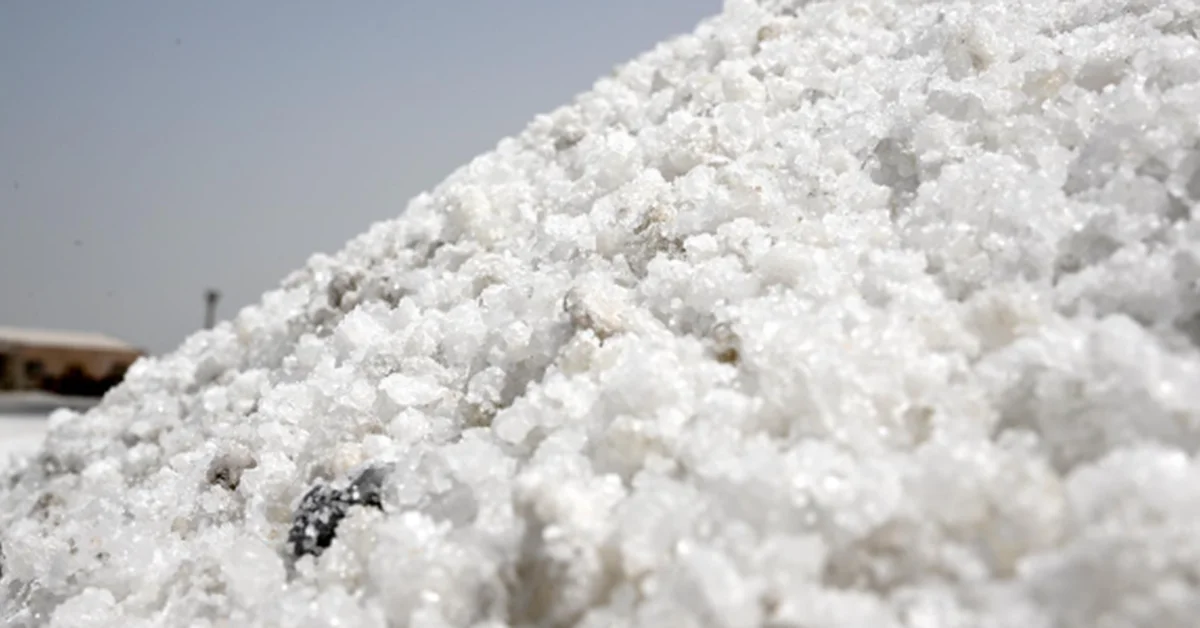 ‘White Gold’ Supplies Local and Global Markets with a Value of SAR3.7 Billion - Main Image