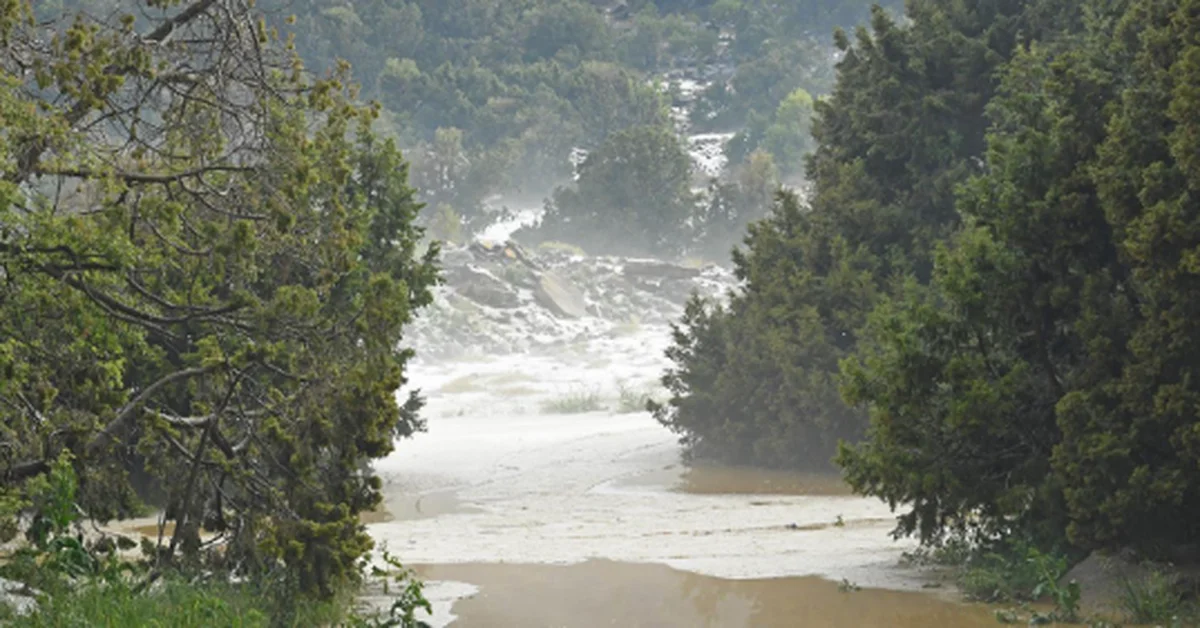 Aseer Rains Attract Vacationers to Parks - Main Image